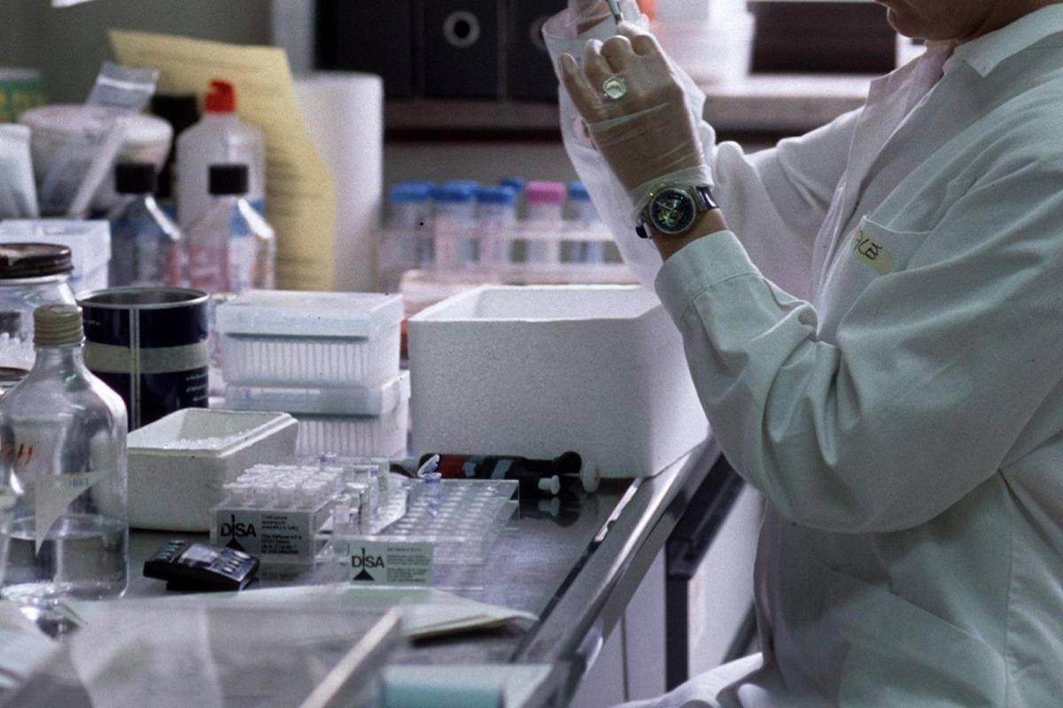 https://www.quotidianodelsud.it/wp-content/uploads/2026/08/istituto-mario-negri-ricerca-e-analisi-in-laboratorio.jpeg