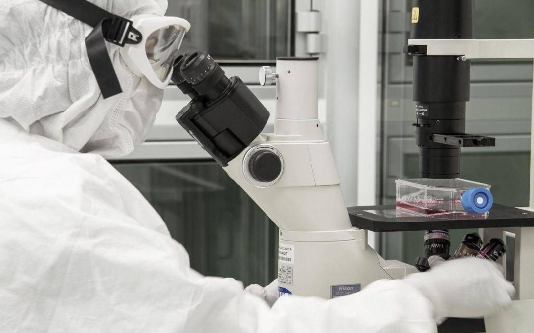 Nuovi virus creati con l’intelligenza artificiale: “E’ una svolta per produrre farmaci e terapie”