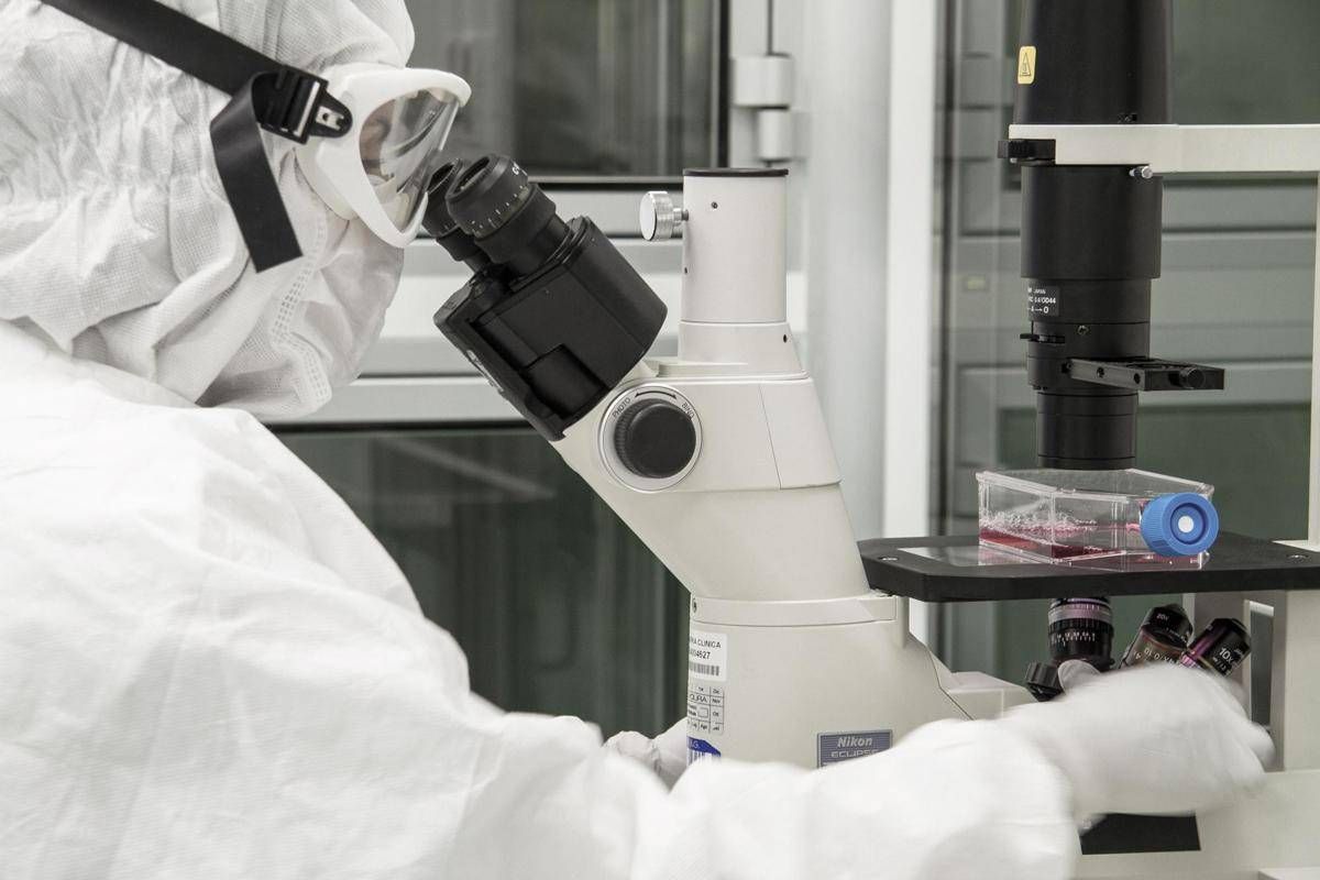 https://www.quotidianodelsud.it/wp-content/uploads/2026/08/laboratori-ricerca-bambino-gesu-microscopio.jpeg