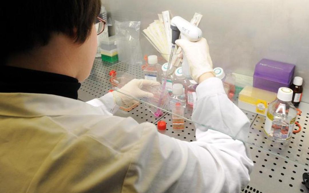 Bambina morta a Palermo, Istituto Superiore di Sanità: “Campione positivo al batterio della difterite”