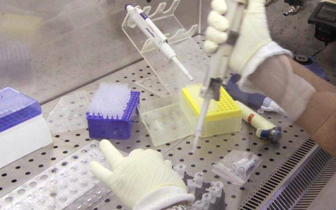 Bimba morta a Palermo per difterite, positivo anche il campione del cugino