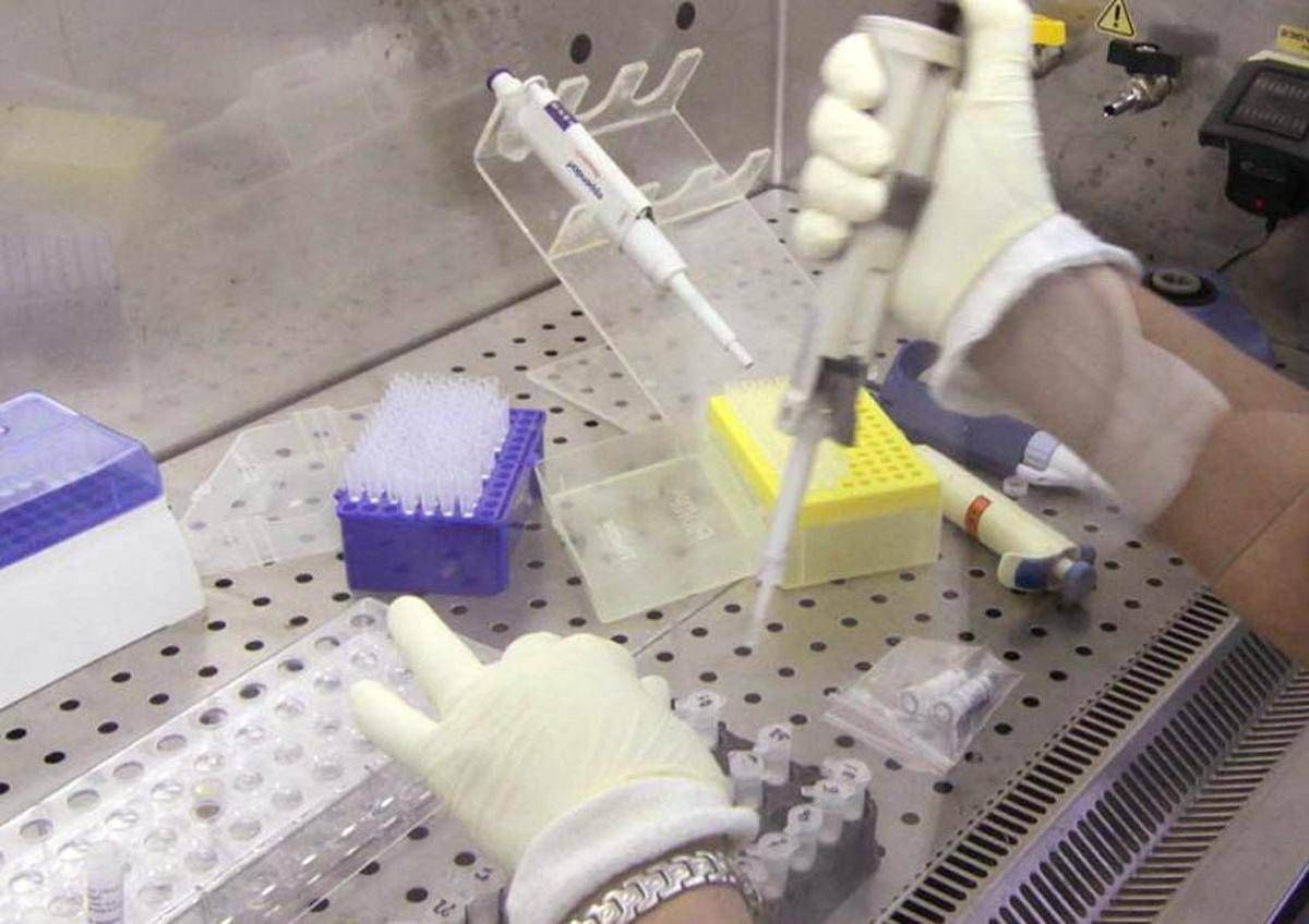 https://www.quotidianodelsud.it/wp-content/uploads/2026/08/laboratorio9-fg-1-0-3565145720.jpeg