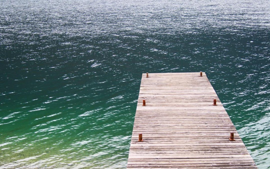 Bimba di 8 anni muore dopo l’infezione da ‘ameba mangia-cervello’: il raro contagio in un lago
