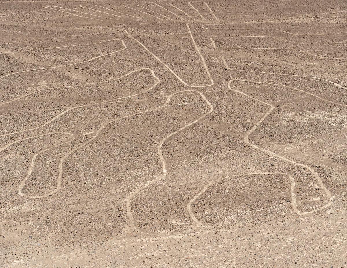 https://www.quotidianodelsud.it/wp-content/uploads/2026/08/linee-nazca-ipa.jpeg