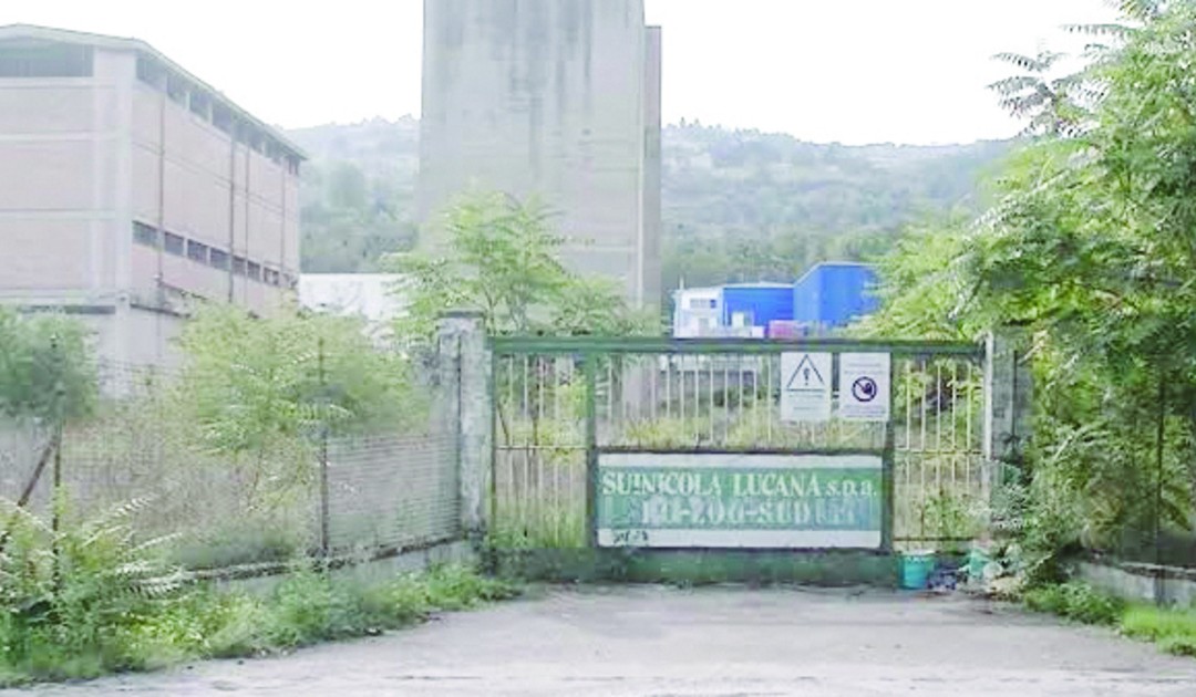 L’ingresso dell’ex Cip Zoo che doveva diventare il luogo dove realizzare il nuovo stadio