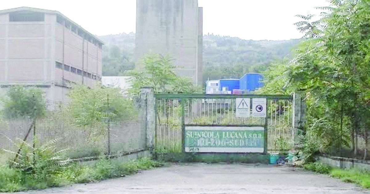 https://www.quotidianodelsud.it/wp-content/uploads/2026/08/lingresso-dellex-cip-zoo-che-doveva-diventare-il-luogo-dove-realizzare-il-nuovo-stadio.jpg