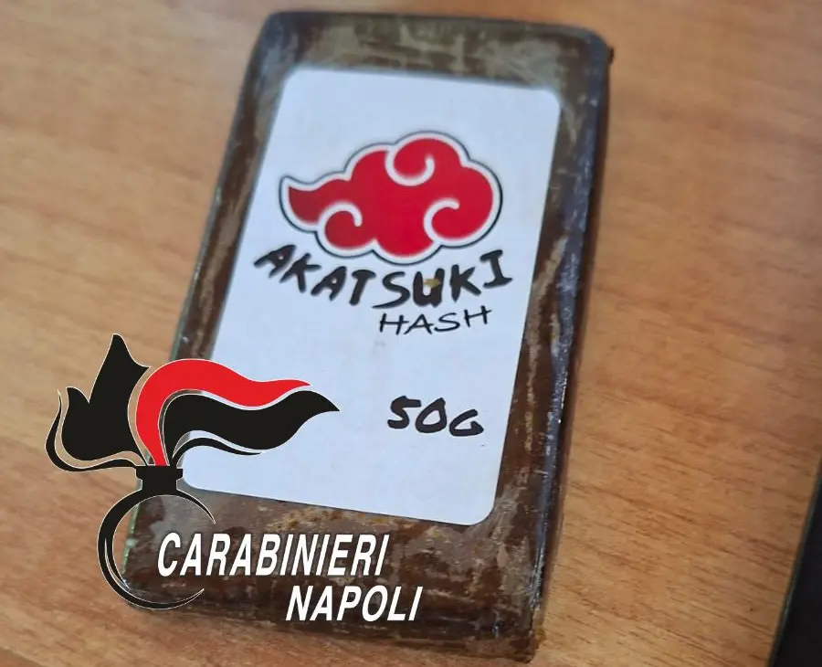 https://www.quotidianodelsud.it/wp-content/uploads/2026/08/manga-carabinieri.jpeg