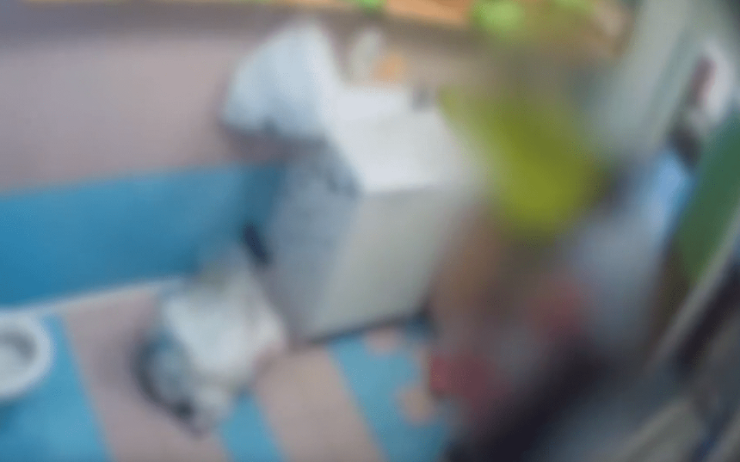 Due maestre d’asilo arrestate per maltrattamenti, altre 2 denunciate a Monza: lasciavano i bimbi incustoditi e senza cibo