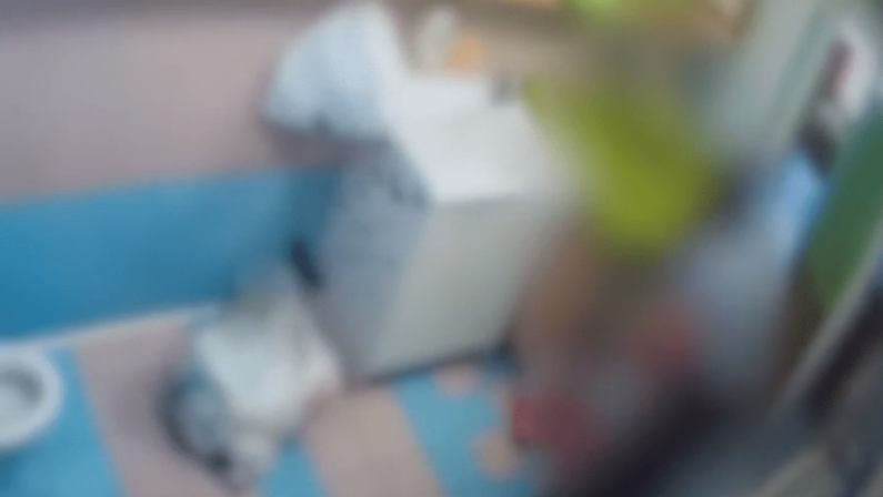 Due maestre d’asilo arrestate per maltrattamenti, altre 2 denunciate a Monza: lasciavano i bimbi incustoditi e senza cibo