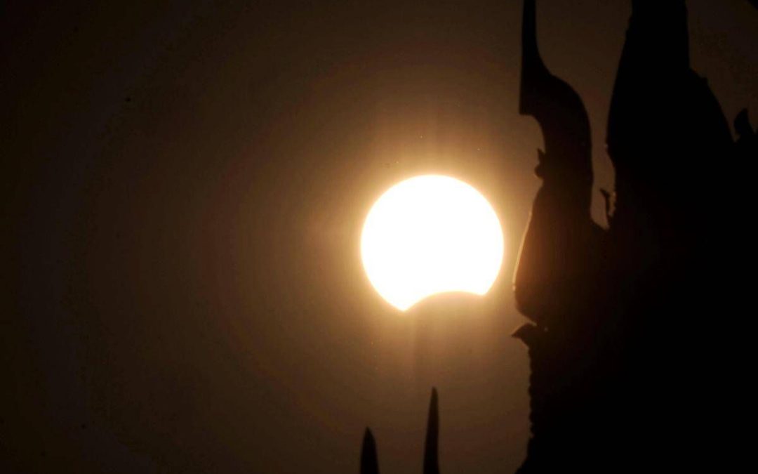 Eclissi, anche gli animali la vedranno: i consigli per non farli agitare