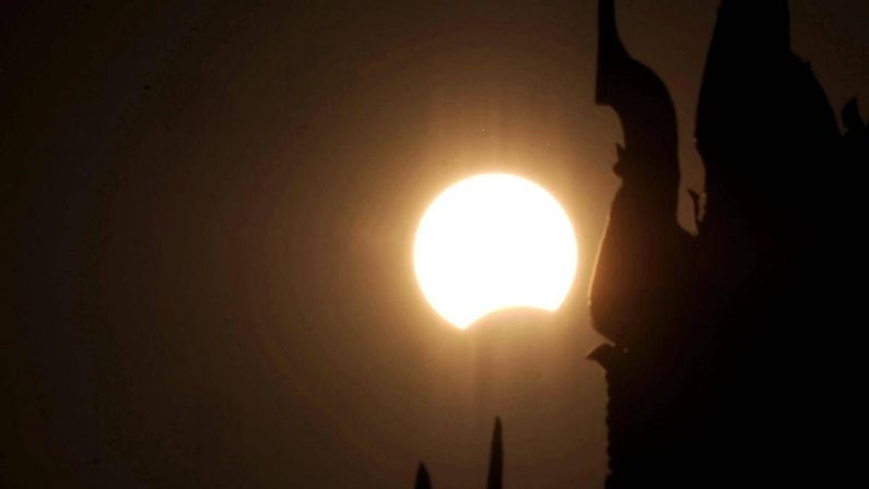 Eclissi, anche gli animali la vedranno: i consigli per non farli agitare