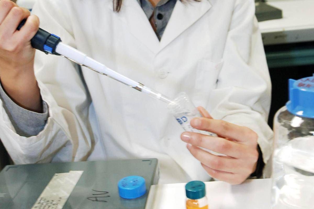 https://www.quotidianodelsud.it/wp-content/uploads/2026/08/nel-laboratorio-dopo-la-conferenza-stampa-dell-istituto-scientifico-universitario-san-raffaele-una-proteina-ferma-la-crescita-del-glioblastoma-il-tumore-cerebrale-piu-frequente-nell-uomo-1.jpeg