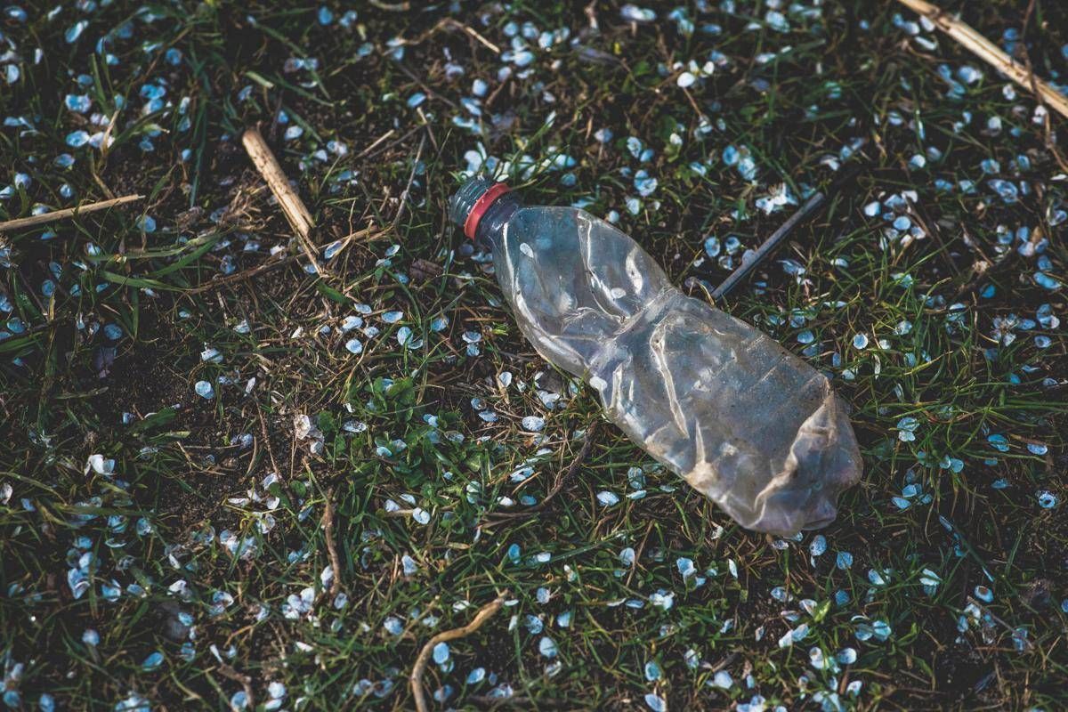 https://www.quotidianodelsud.it/wp-content/uploads/2026/08/packaging-bottiglia-plastica-unspash.jpeg