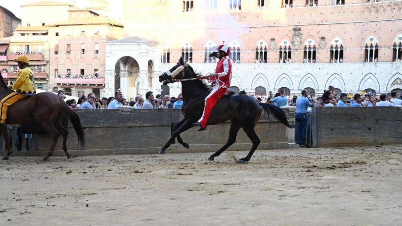 Palio Siena, la Contrada della Giraffa vince la terza prova