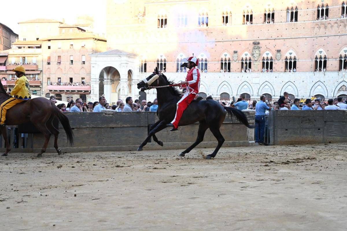 https://www.quotidianodelsud.it/wp-content/uploads/2026/08/palio-contrada-giraffa.jpeg