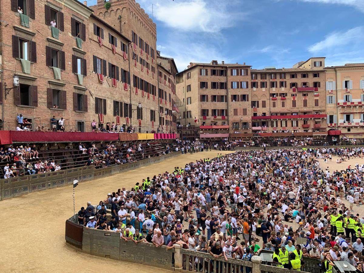 https://www.quotidianodelsud.it/wp-content/uploads/2026/08/palio-ipa.jpeg