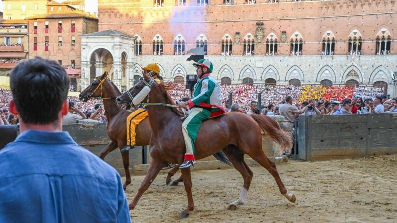 Palio di Siena, oggi l’Assunta: orario, cavalli, fantini e dove vederlo in tv