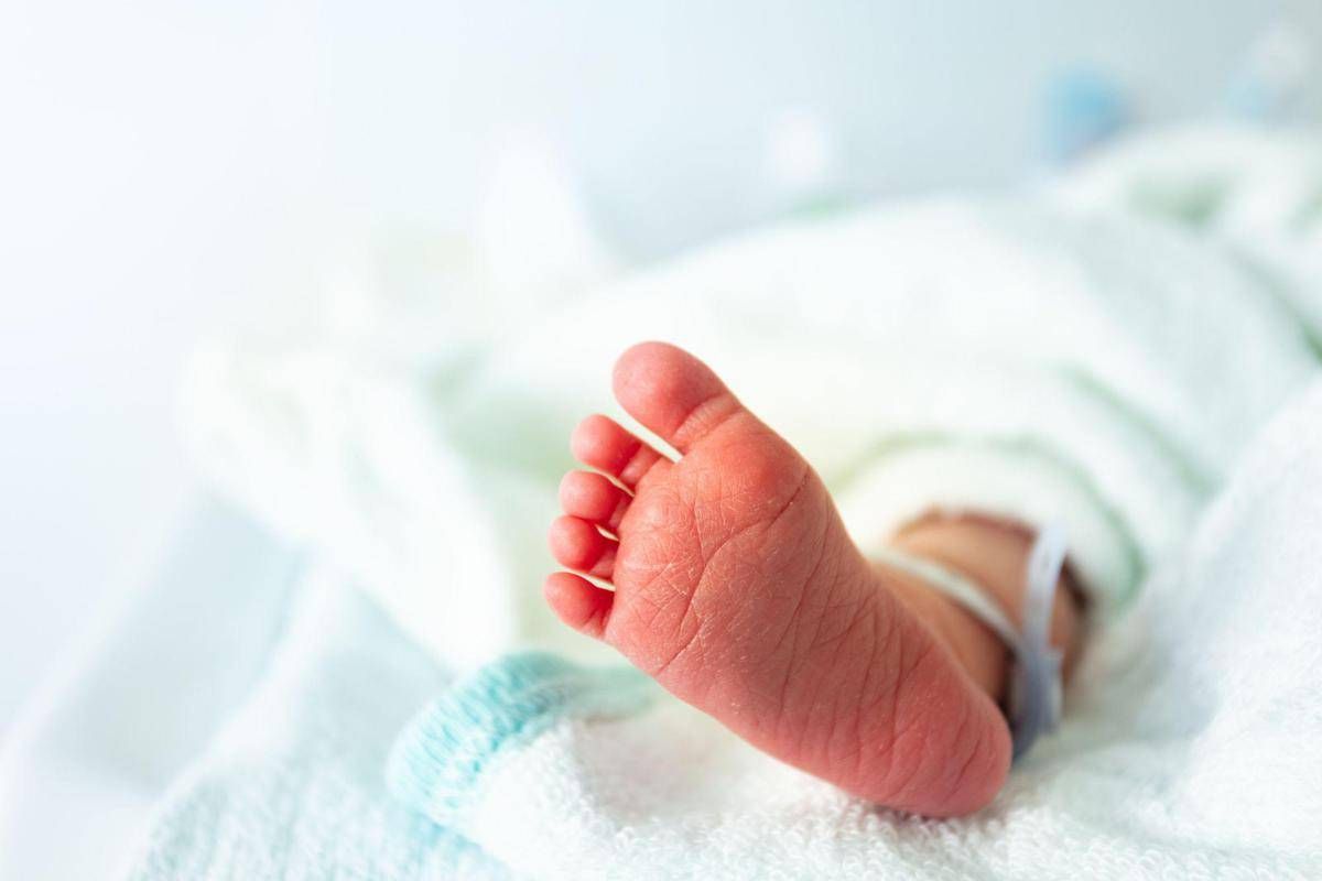 https://www.quotidianodelsud.it/wp-content/uploads/2026/08/piedino-neonato-ospedale-canva.jpeg