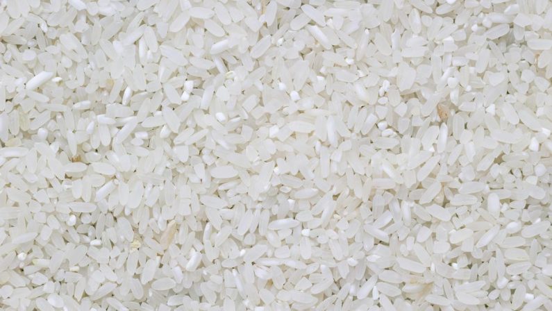 La ‘nuova’ ricetta per il riso in bianco: “Non si cuoce con l’acqua…”