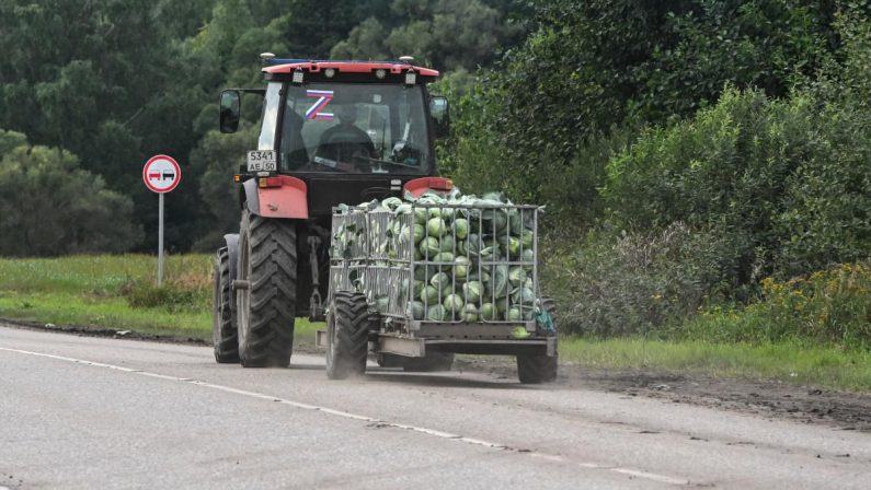Formaldeide per mantenere freschi gli ortaggi, scoppia lo scandalo in Cina: avviate ispezioni in tutto il Paese