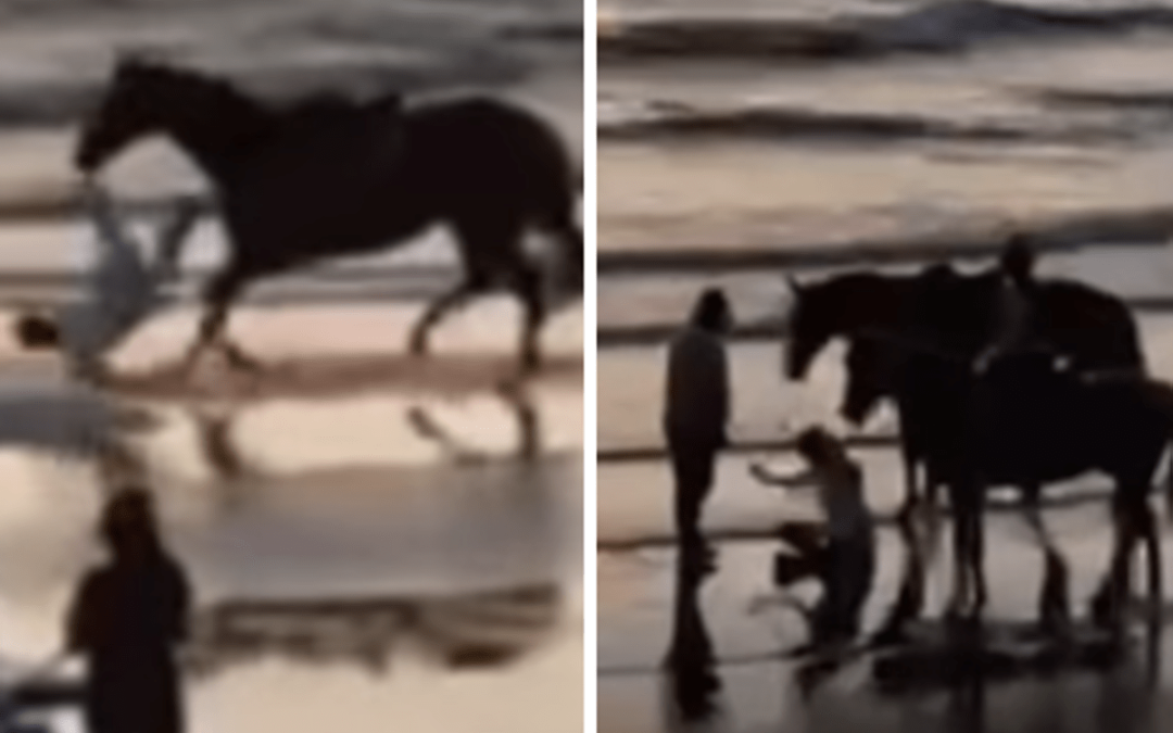 Paura per Belen, l’incidente con il cavallo: “Ho fatto una capriola tipo Dragon Ball”