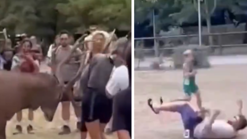 Prova a toccare un cervo e viene ‘caricato’: il video virale