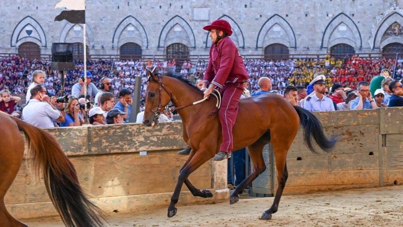 Palio Siena, la Contrada della Torre vince la quarta prova
