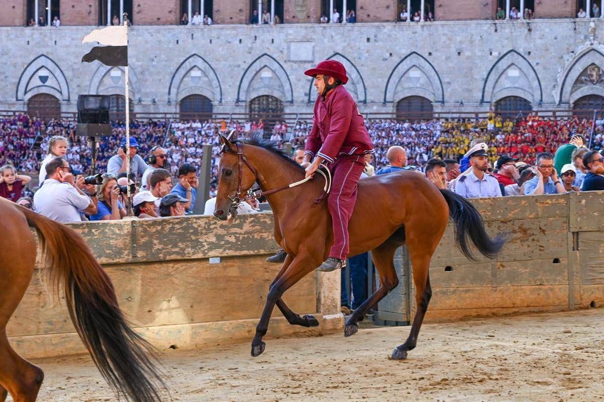 https://www.quotidianodelsud.it/wp-content/uploads/2026/08/siena-contrada-torre.jpeg