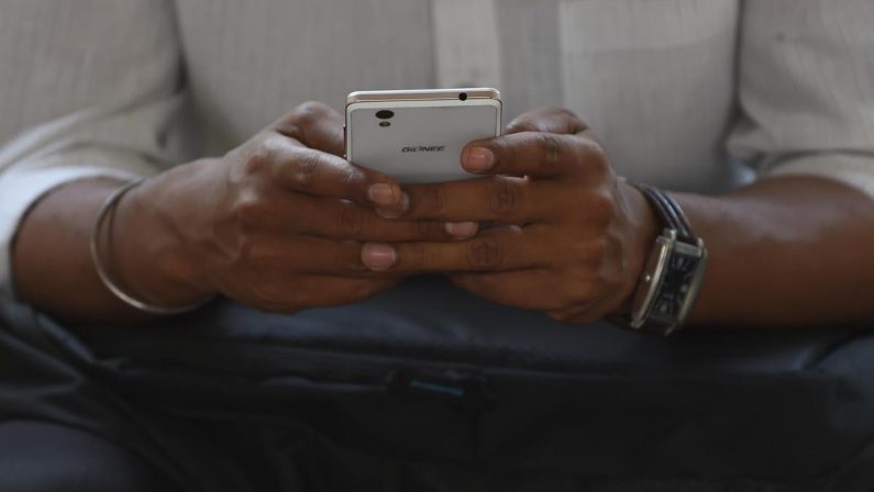 Foglia di alloro nella cover del telefono, il significato del trend: porta davvero fortuna?
