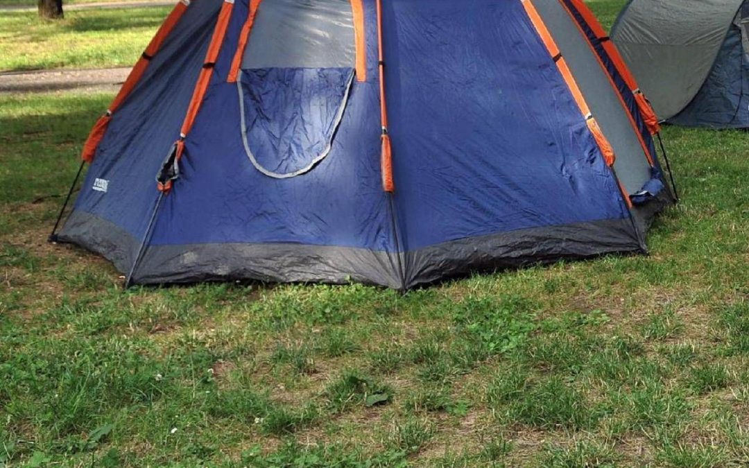 Cimici dei letti ad alta quota e zecche alle porte delle città, si allargano le rotte dei parassiti