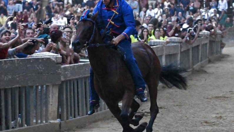 Palio Siena, notte tranquilla in ospedale per Tittia: condizioni in miglioramento