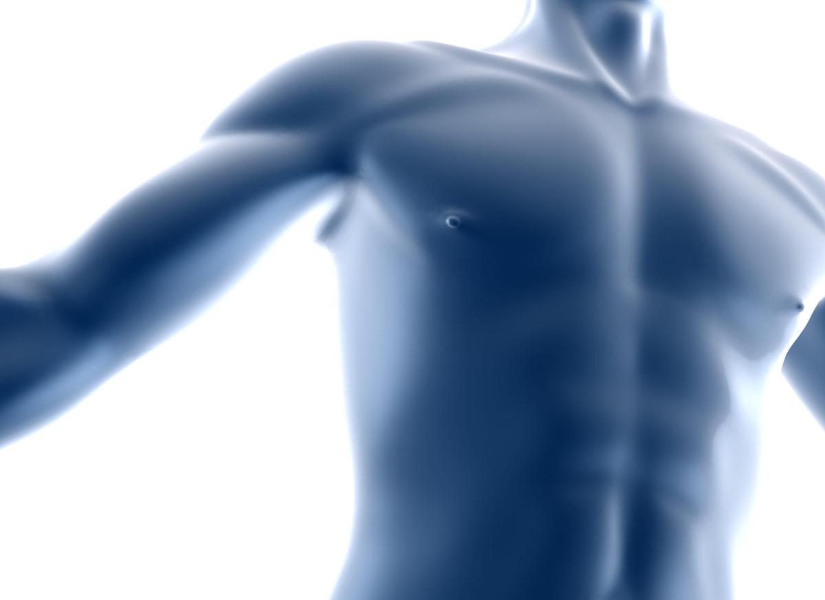 https://www.quotidianodelsud.it/wp-content/uploads/2026/08/torace-uomo-123rf-free.jpeg