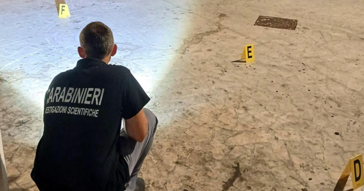 https://www.quotidianodelsud.it/wp-content/uploads/2026/08/trani-accoltellato-18enne.jpg