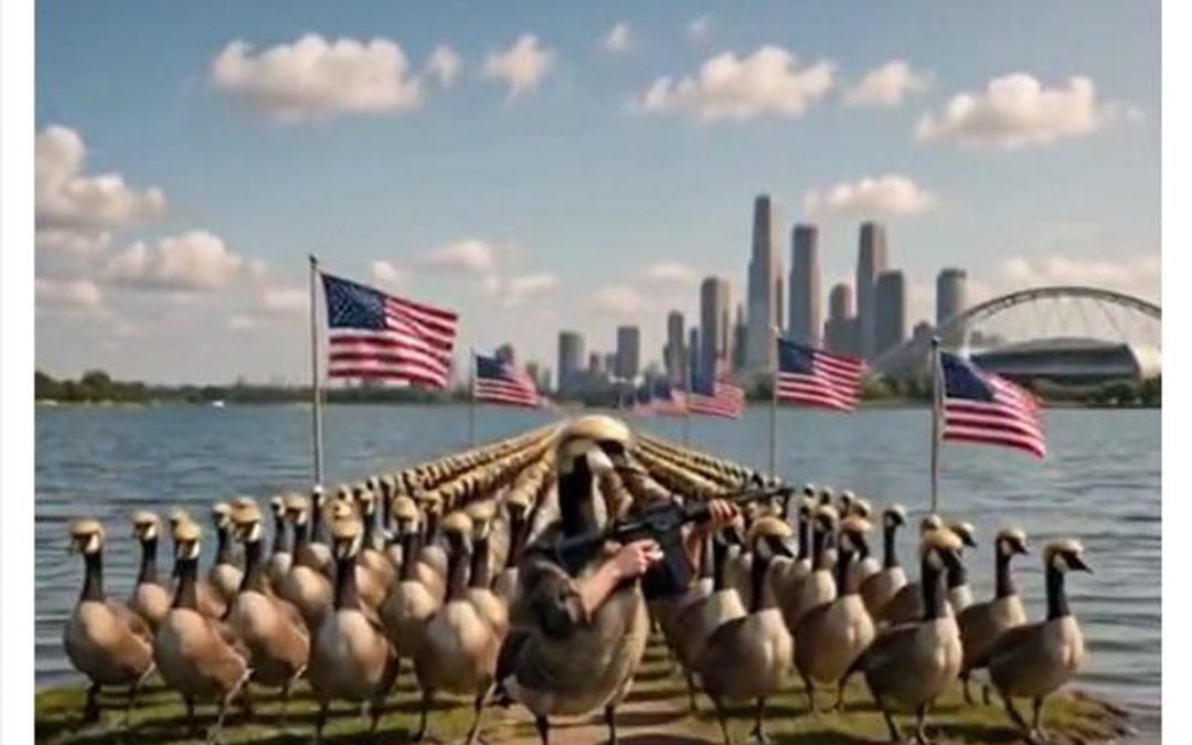 Trump posta esercito di ‘Donald Ducks’, le papere armate a difesa del Lago America