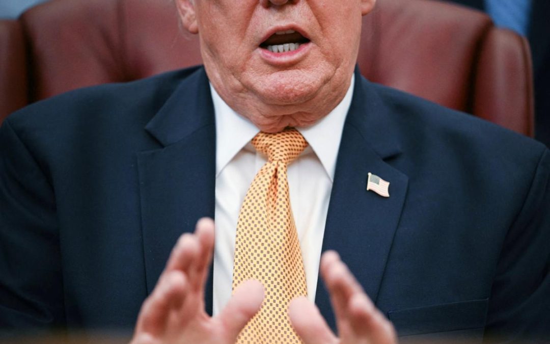 Trump: “L’erba è come gli esseri umani, ha una vita”
