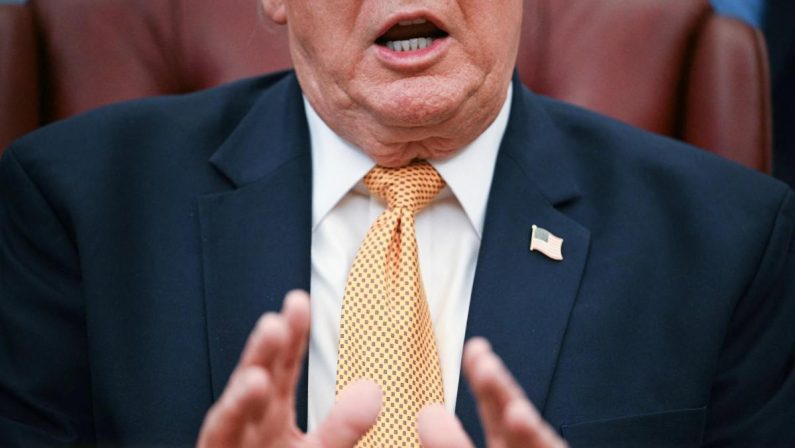 Trump: “L’erba è come gli esseri umani, ha una vita”