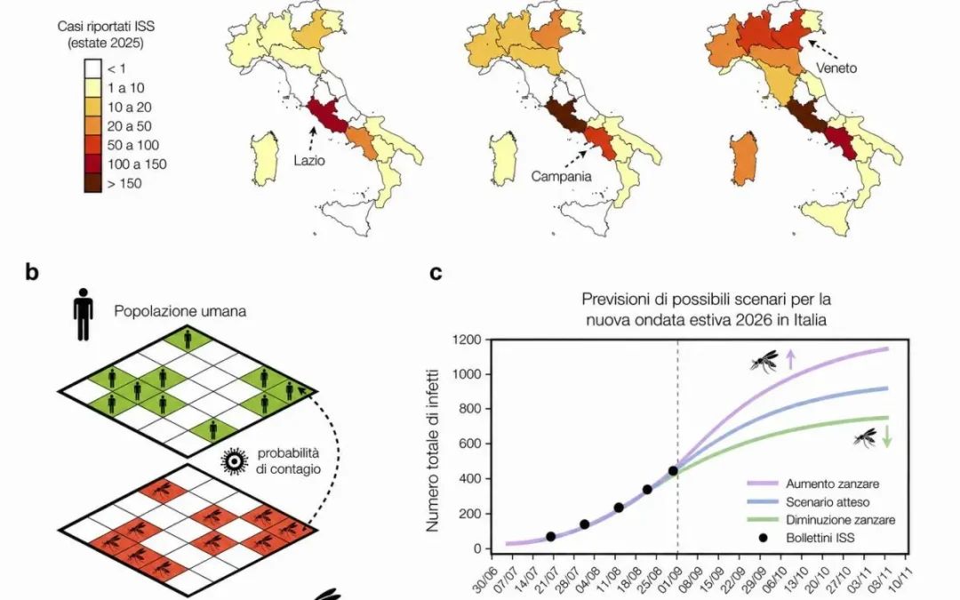West Nile, sviluppato un modello matematico per capire le ondate epidemiche