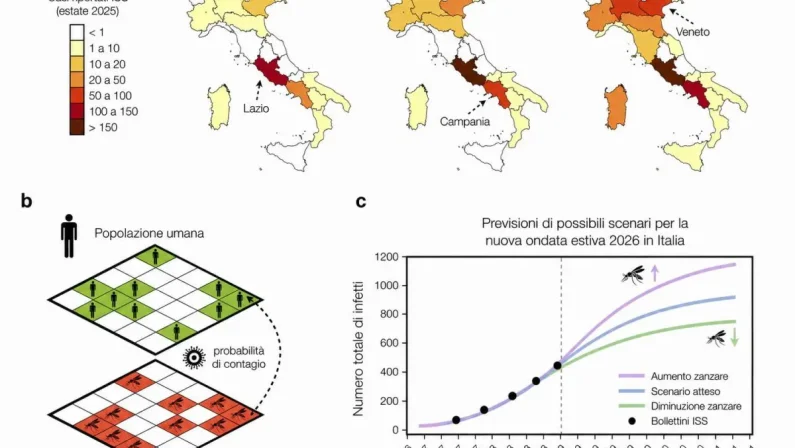 West Nile, sviluppato un modello matematico per capire le ondate epidemiche