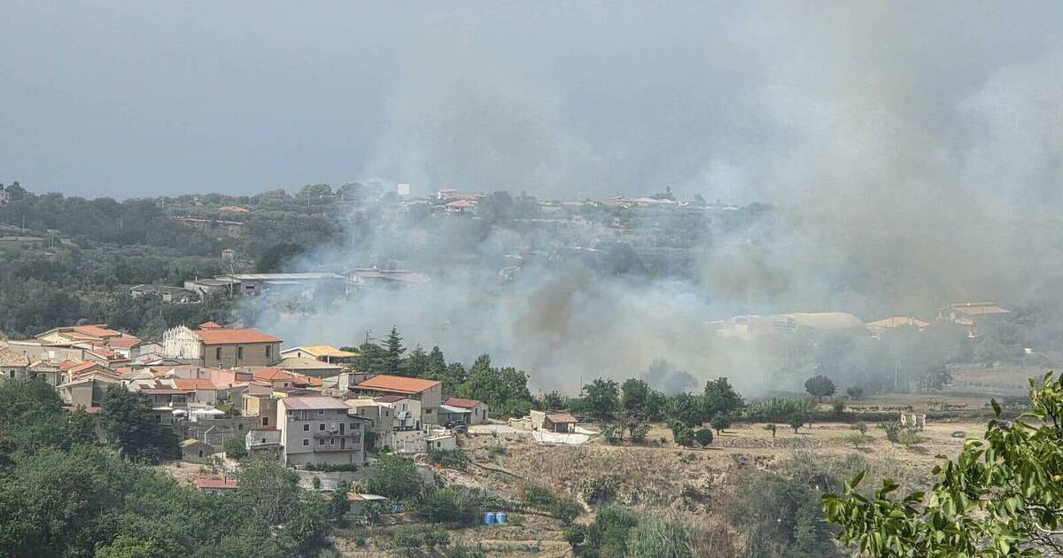 https://www.quotidianodelsud.it/wp-content/uploads/2026/08/zungri-incendio-1.jpg