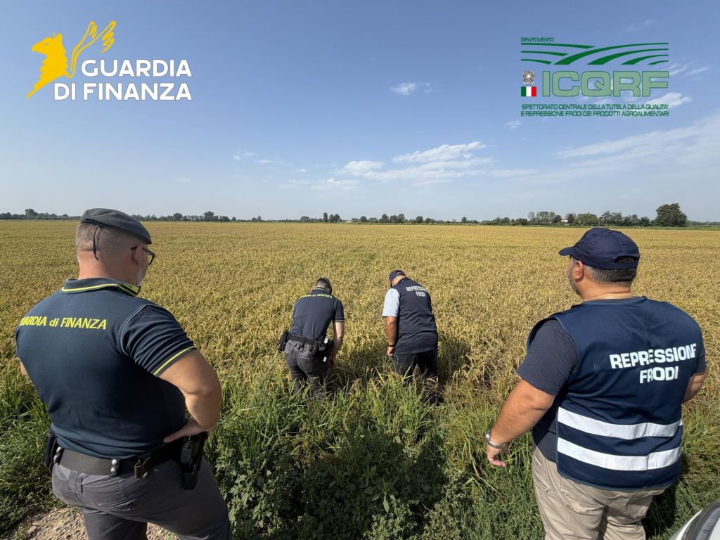 https://www.quotidianodelsud.it/wp-content/uploads/2026/09/20260917-0319.jpg
