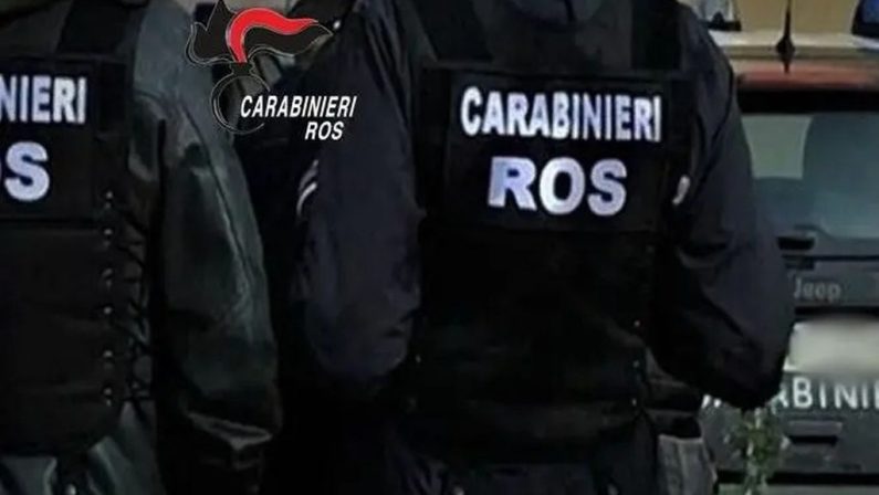 Droga dal Brasile all’Italia, blitz contro la mafia e il narcotraffico