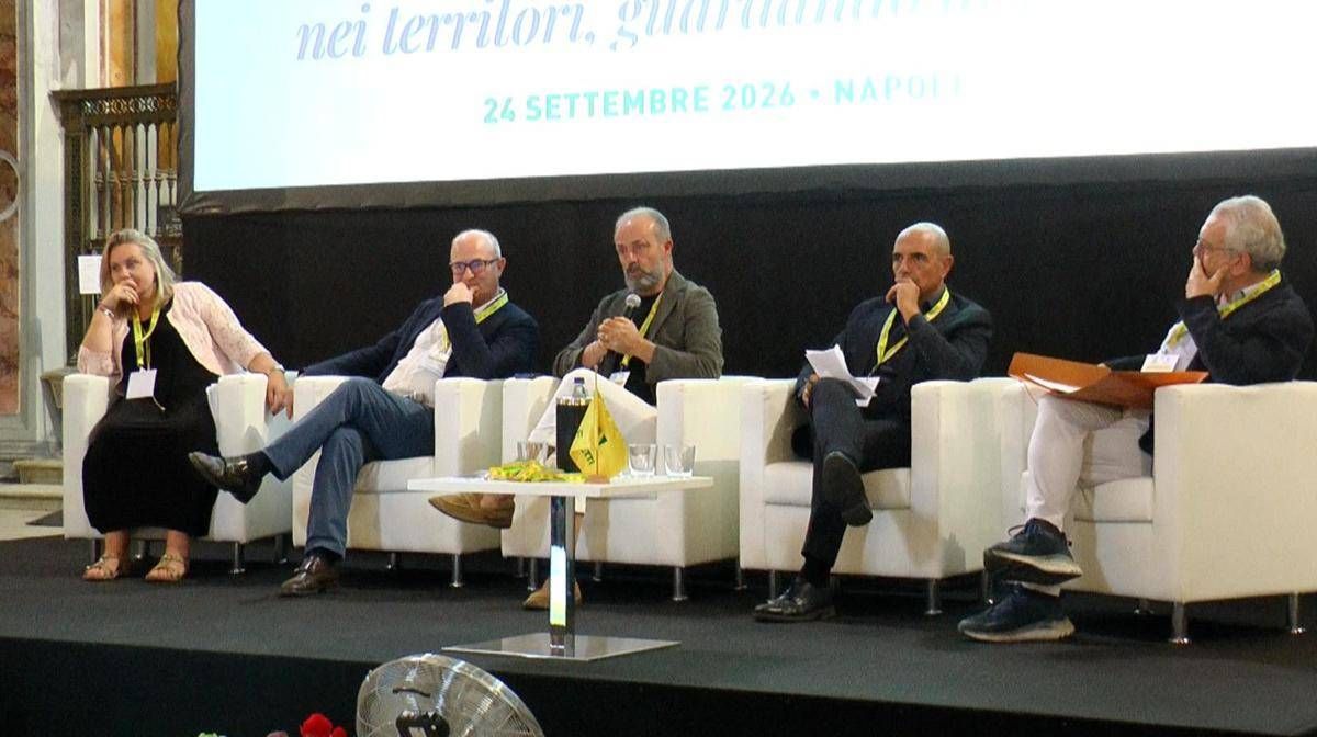 https://www.quotidianodelsud.it/wp-content/uploads/2026/09/6566467e-289e-4722-acb4-45d7162e4298.jpeg