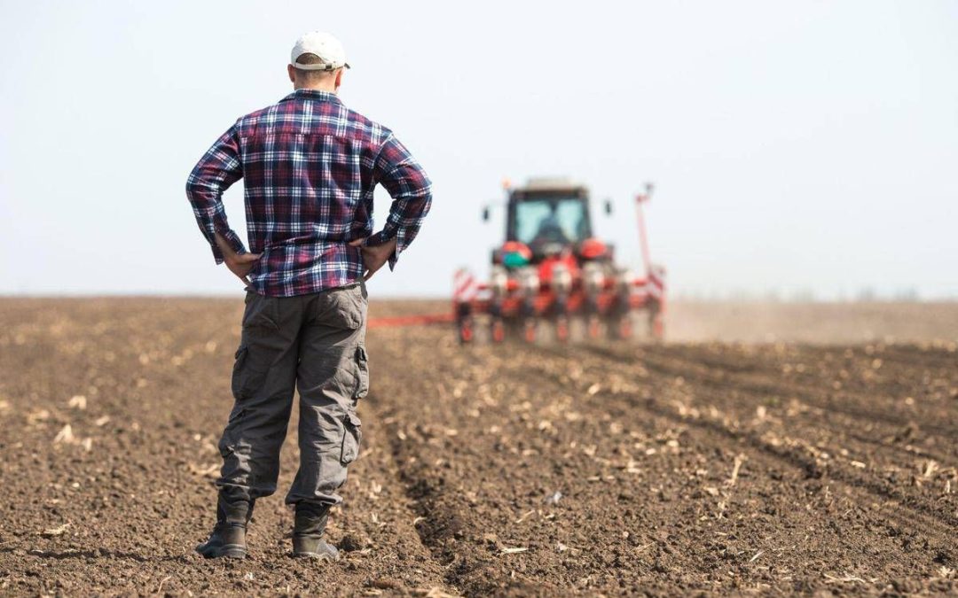 Gli offrono 700mila euro, ma un agricoltore rifiuta e non vende il suo terreno