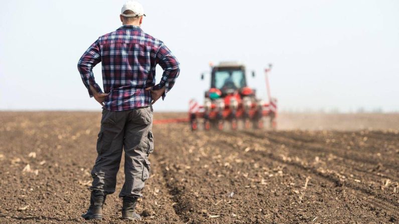 Gli offrono 700mila euro, ma un agricoltore rifiuta e non vende il suo terreno