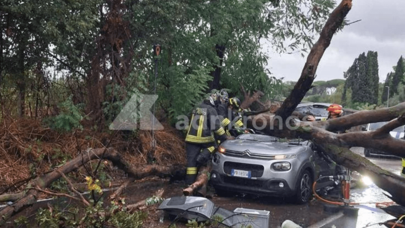 Maltempo a Roma, albero caduto sull’auto: chi paga i danni? La risposta degli esperti
