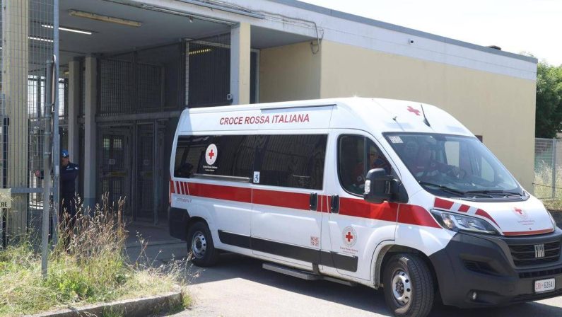Paura sulla Via degli Dei, escursionista punta da un imenottero: shock anafilattico e soccorso d’urgenza