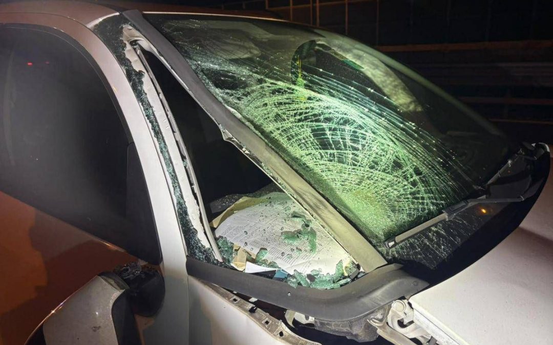 Operaio investito e ucciso su A14, denunciato automobilista positivo all’alcol test