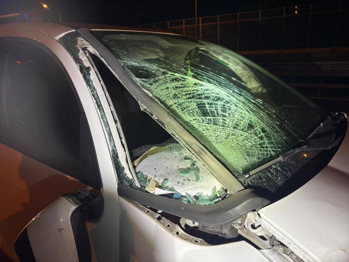 https://www.quotidianodelsud.it/wp-content/uploads/2026/09/auto-incidente-bologna-polizia.jpeg