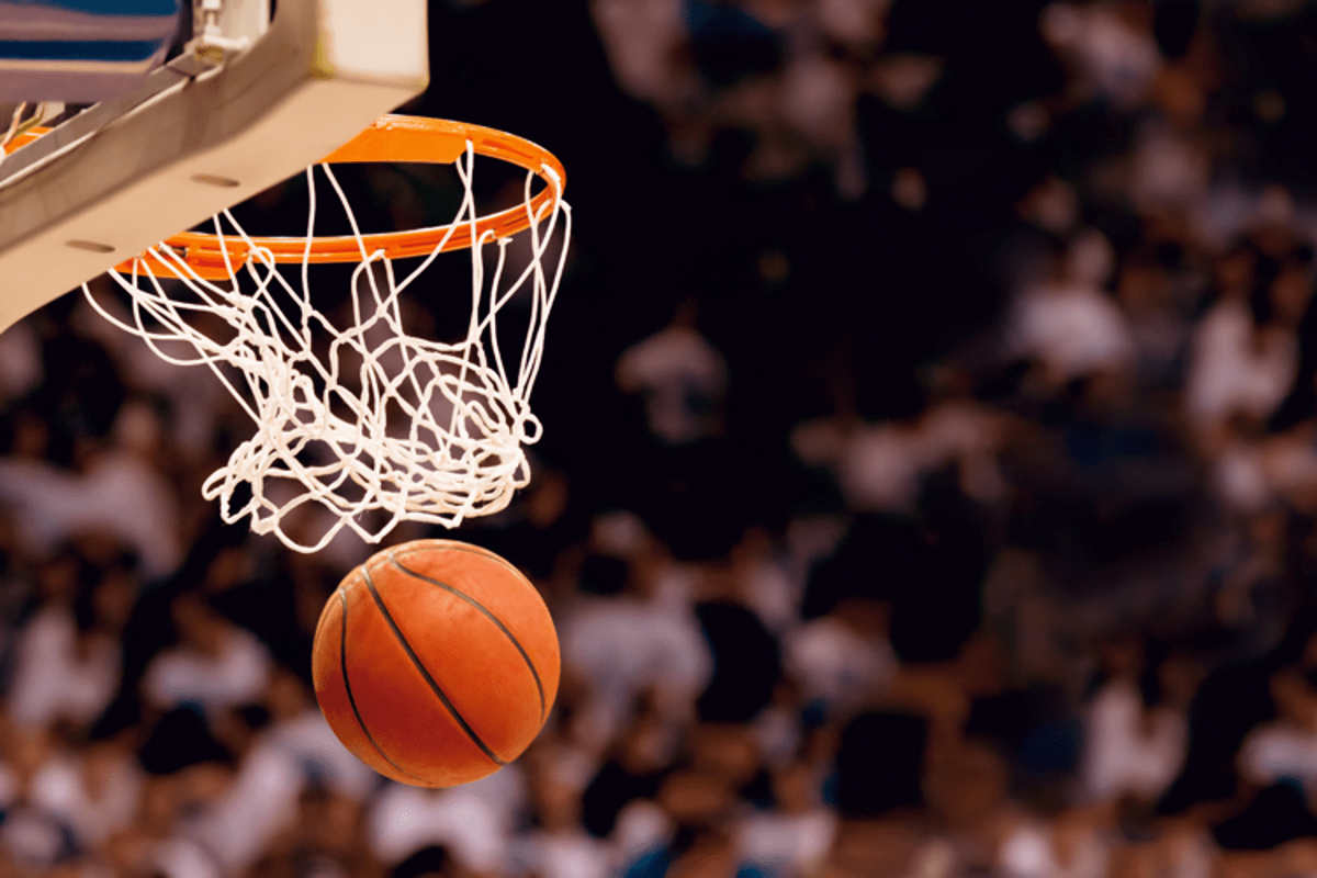 https://www.quotidianodelsud.it/wp-content/uploads/2026/09/basket-adobe-free.png