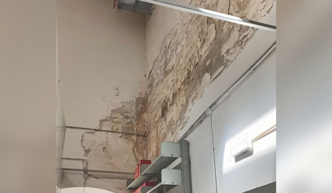 La situazione di evidente degrado della biblioteca